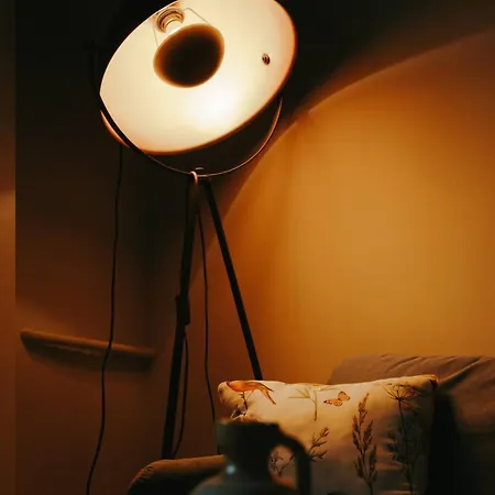Vinyl Sofia
